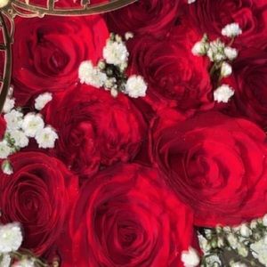 Meet your Posher, Leslie